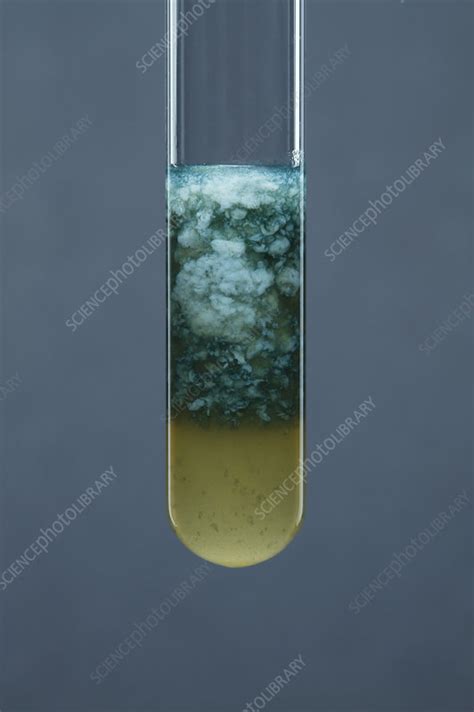 Iron (II) carbonate precipitate - Stock Image - C028/0742 - Science ...