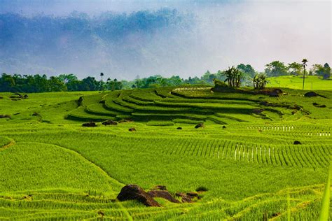 Thanh Hoa Province, Vietnam | Tourism info for visiting Thanh Hoa Province, VN