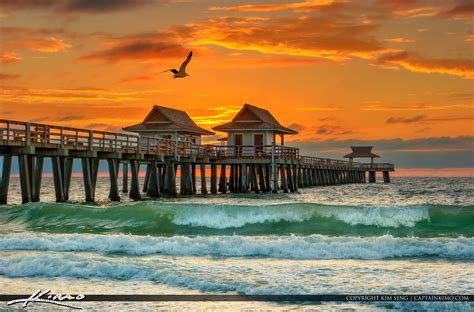 Seagull Flying Over Naples Pier at Sunset