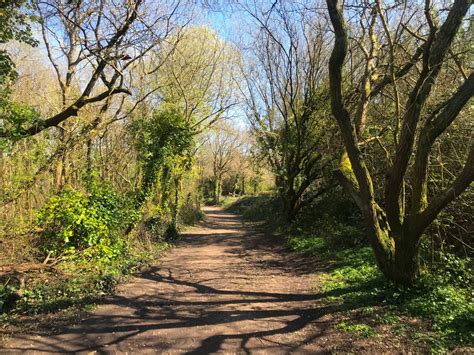 Walk around Warsash Nature Reserve - Bright Lights Big City