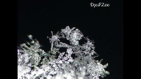 Macro Photography - Snowflakes - YouTube