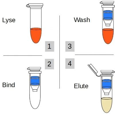 DNA and RNA extraction kits – Swagene