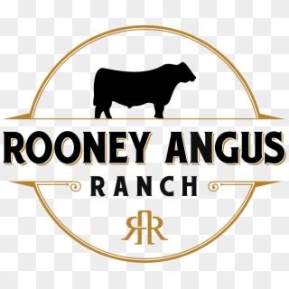 Angus Ranch Logo, HD Png Download - 2950x2478(#6862851) - PngFind