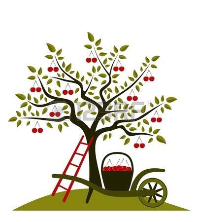 Cherry harvest clipart 20 free Cliparts | Download images on Clipground 2023