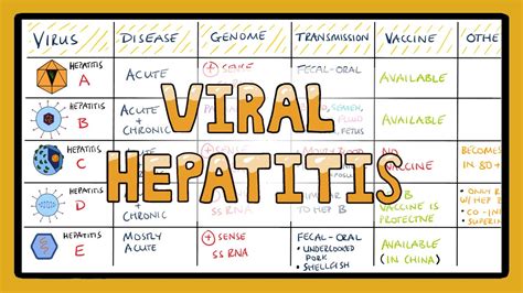 Explain the Different Types of Hepatitis