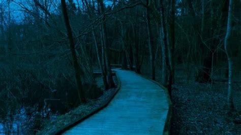 Walking on a Dark Path at Night | Stock Video | Pond5