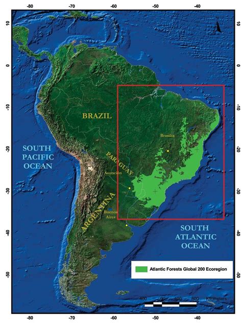 Location of the Atlantic Forests Global 200 Ecoregion in South America | Download Scientific Diagram