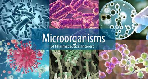 Microorganisms of Pharmaceutical Interest - Pharmapproach.com