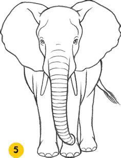 Elephant - Learn to Draw Animals Image Elephant, Elephant Outline ...