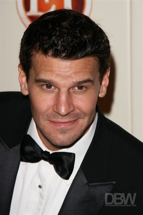 David Boreanaz.... - Bones Photo (14086865) - Fanpop