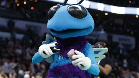 Watch: Hornets mascot reacts to team's controversial draft pick | Yardbarker