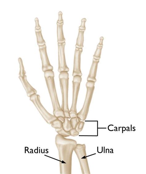 Gliding Joint Diagram