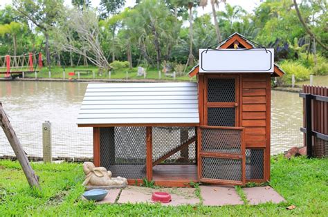 Keeping Rabbits Safe with Outdoor Housing - Every Bunny Welcome