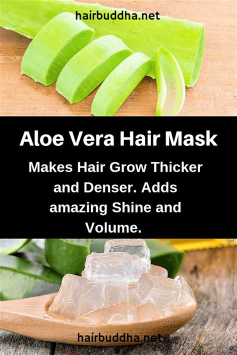 Aloe Vera Hair Mask for Thick, Dense Hair Growth - hair buddha