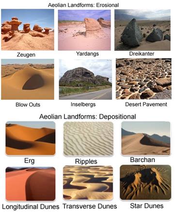 Which of the following are the examples of the Aeolian erosional landforms?1 Yardang2 Inselberg3 ...