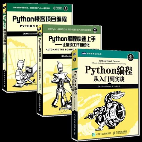 Hot Sell 3 Books Programming Books Python programming from entry to practice Python programming ...