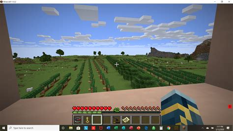 An Actual Functioning Vineyard Minecraft Map