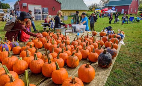 Harvest Festivals | Travel South Dakota