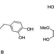 Classification of coumarin derivatives. | Download Scientific Diagram