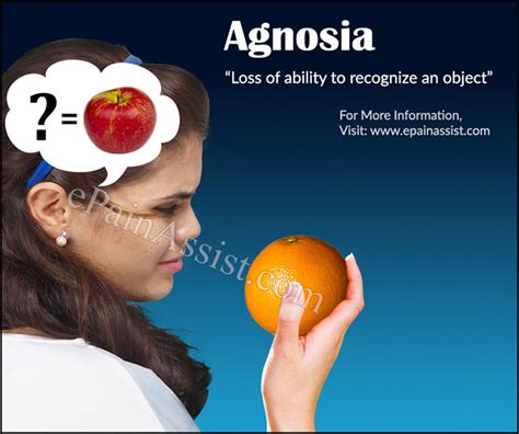 agnosia – Liberal Dictionary