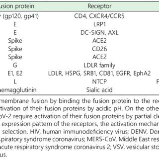 Fusion proteins, receptors, and mechanism of fusion protein activation ...