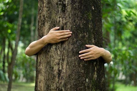 Human Hand Give Hug To Tree in Forest.Concept of Global Problem of Carbon Dioxide and Global ...