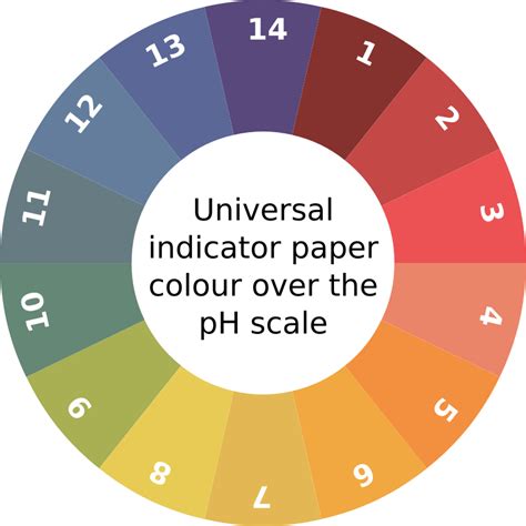 Universal indicator key - Openclipart