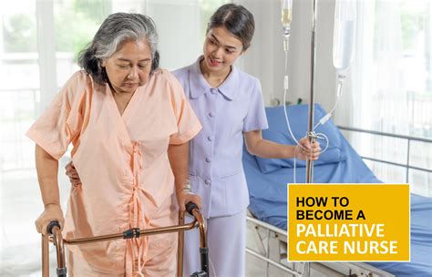 How to Become a Palliative Care Nurse | IHM Australia