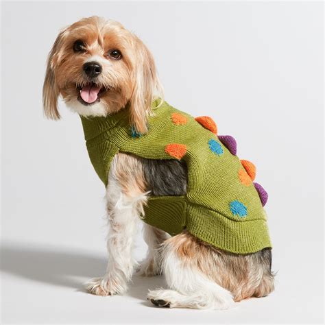 Funny Dog Sweaters for Your Pet | The Daily Dish