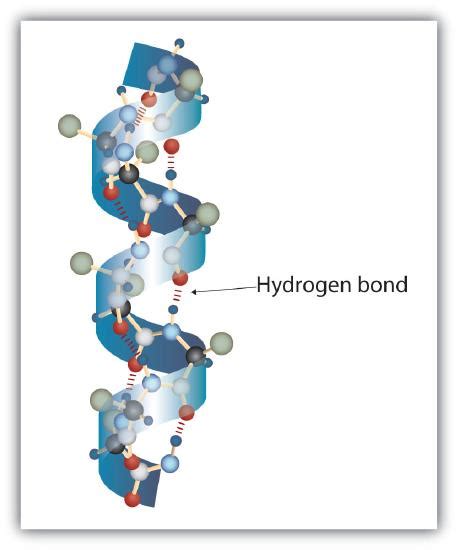 11.5: Hydrogen Bonds - Chemistry LibreTexts