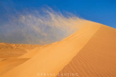 Wind - Erosion and Deposition