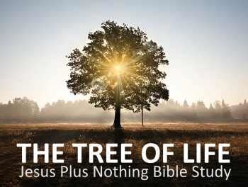 The Tree of Life Bible Study & Humanity's eternal choice