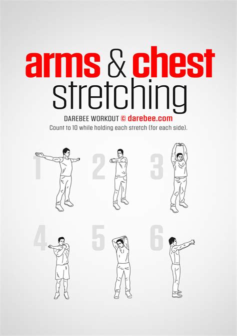 Arms & Chest Workout