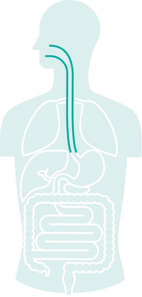 Oesophageal cancer: symptoms and risk factors - GI Cancer