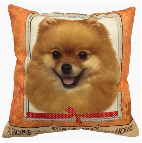 Pomeranian Pillow 16x16 Polyester