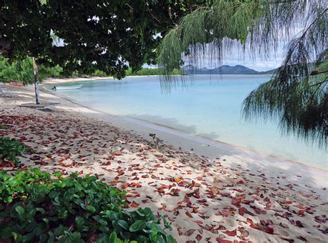 Oarsman's Bay Lodge - UPDATED 2018 Resort Reviews & Price Comparison (Nacula Island, Fiji ...