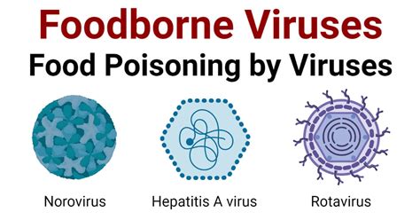 Foodborne Viruses- Food Poisoning by Viruses