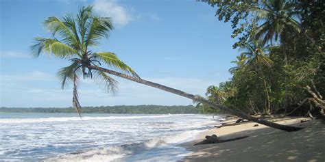 Cahuita Beach - Parklands - Costa Rican Vacations, Corporate, Condos, Excursions, Tours ...