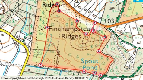 Finchampstead Ridges short walk | Berkshire | National Trust