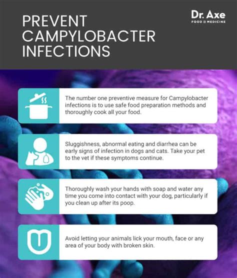 Campylobacter Causes & Symptoms + What to Do - Dr. Axe