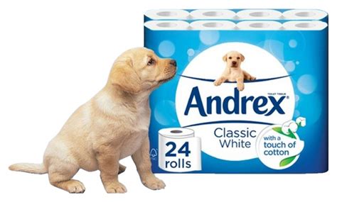 Andrex Toilet Rolls, Pack 24, White | Delta Cleaning Supplies