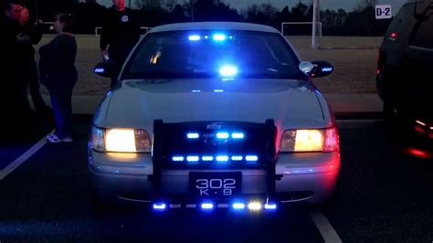 Security Solutions: Texas Security Patrol Vehicle Light Colors