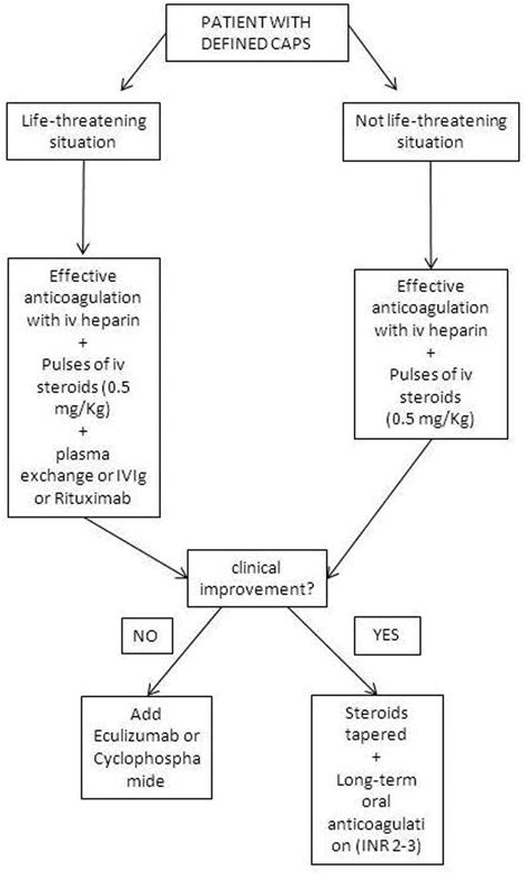 Proposed algorithm for treatment of CAPS. CAPS, catastrophic... | Download Scientific Diagram