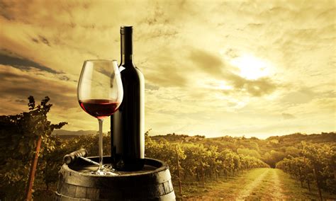 214 Wine Wallpapers | Wine Backgrounds | Wine wallpaper, Red wine, Wine tasting