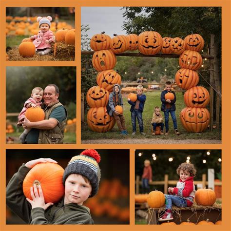 West Lodge Farm Park Halloween and Pumpkin Festival