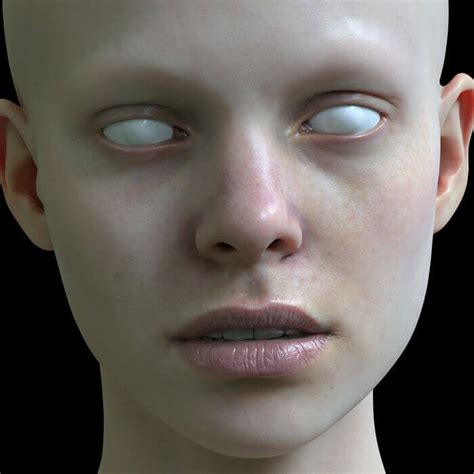 Realistic human 3D model: the skin | Anatomy For Sculptors