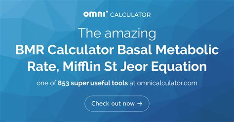 Mifflin St Jeor Equation Calculator Activity Factor - Tessshebaylo