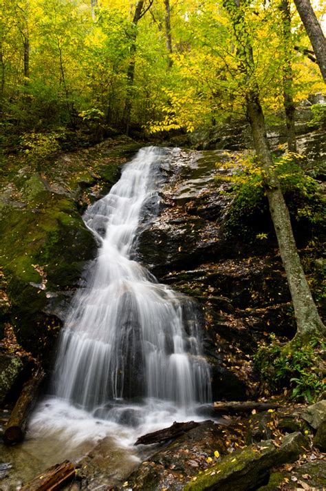 Fifteen National Forest Waterfalls Not to Miss - National Forest Foundation