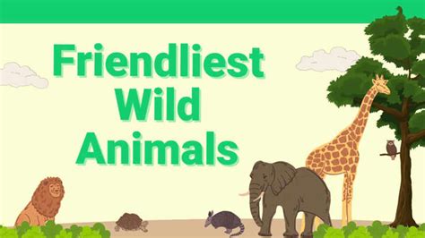 The 25 Friendliest Animals You’ll Find in the Wild Today