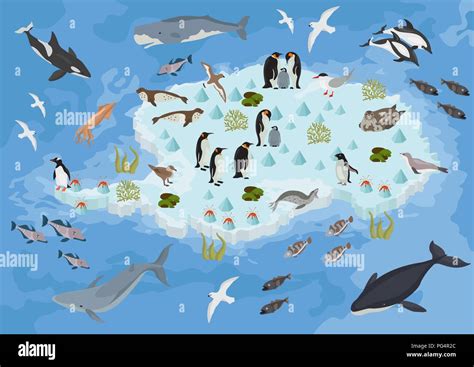 Isometric 3d Antarctica flora and fauna map elements. Animals, birds ...